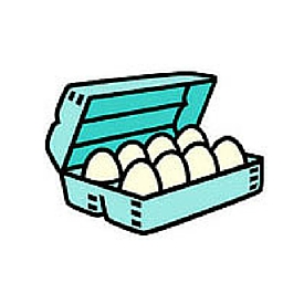 egg carton