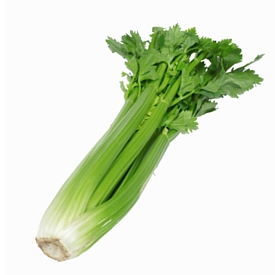 Celery