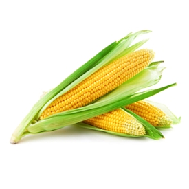 Corn